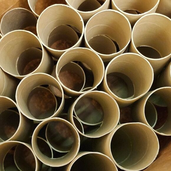 56 ABIDE Brand Toilet Paper Rolls Craft Project Preschool Arts & Craft Upcycle - Picture 3 of 4